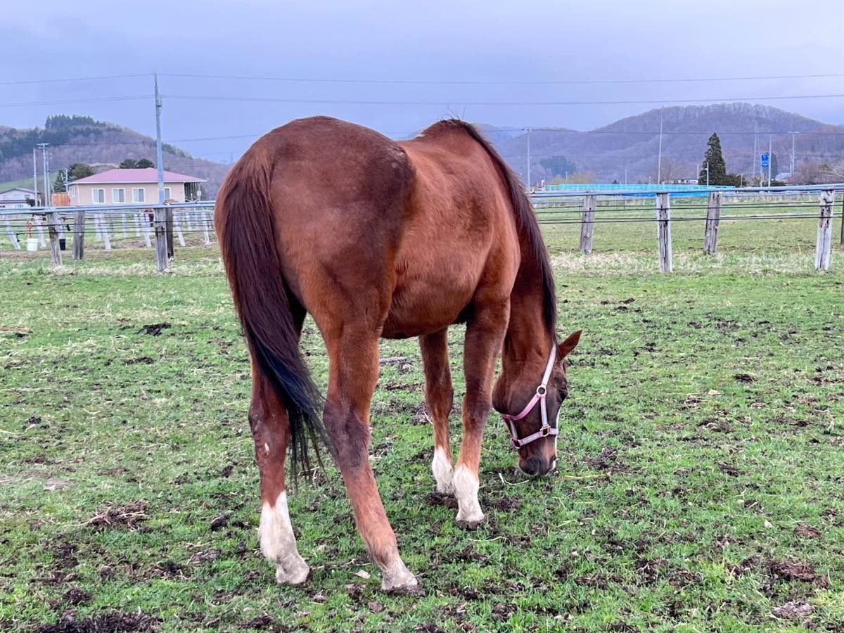 427268b65e1a68cf5d1aea3a188a5969-1776211249.jpg 427268b65e1a68cf5d1aea3a188a5969-1776211249.jpg